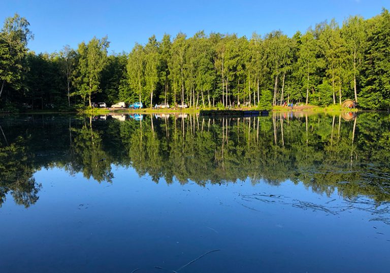 776x544 Images Angelparadies Burgdorf 01 768x538