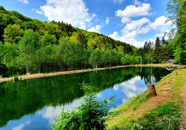 776x544 Images Angelpark Friesenweiher 01 768x538