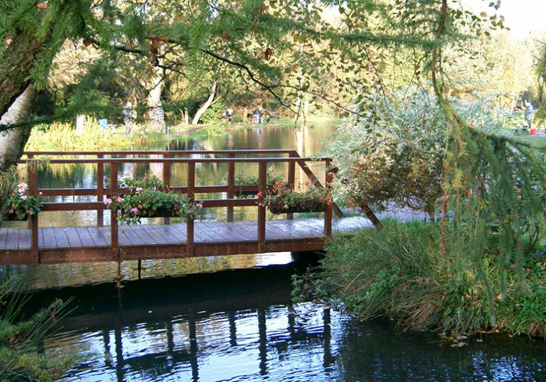 776x544 Images Forellenhof Fischer 01 768x538