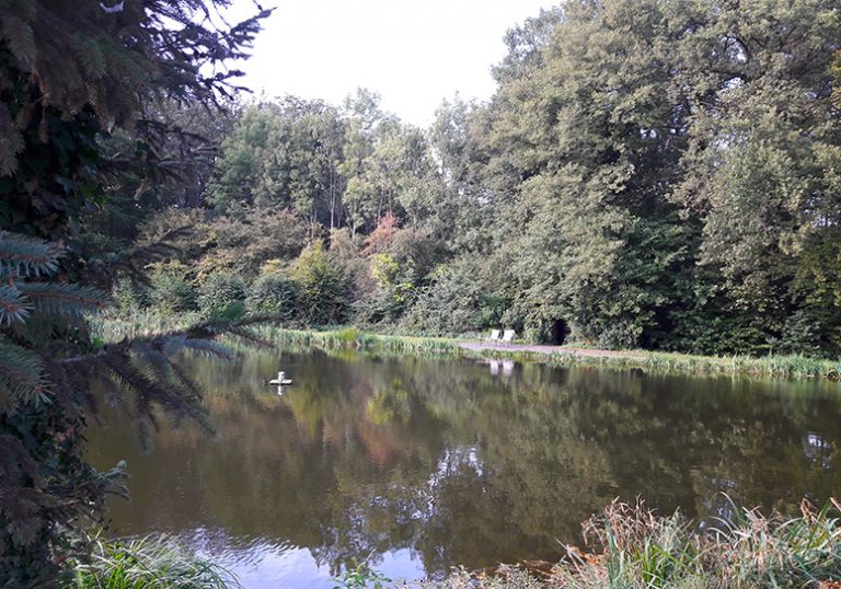 776x544 Images Forellenzucht Koeyer 01 768x538