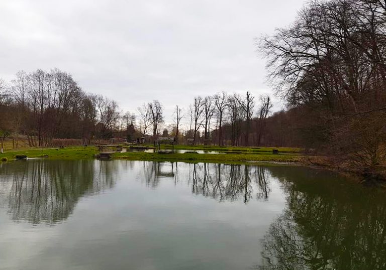 Images Angelteiche Angermuende 01 768x538