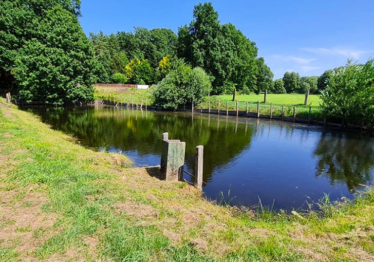 Images Angelparadies Amelinghausen 01 768x538