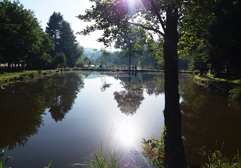 Images Angelpark Remmesweiler 01 768x538