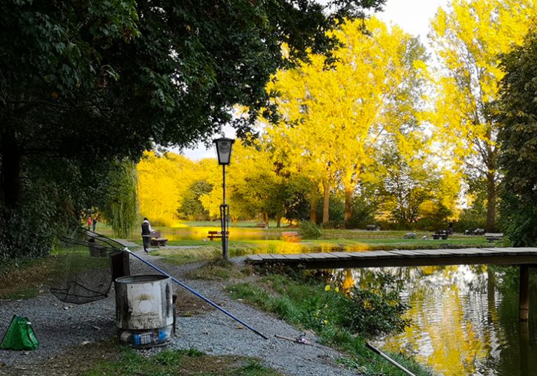 Images Angelteiche Beverstedt 01 768x538