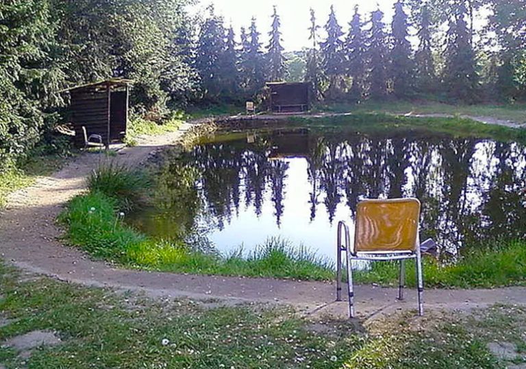 Images Angelteiche Koenigsmoor 01 768x538