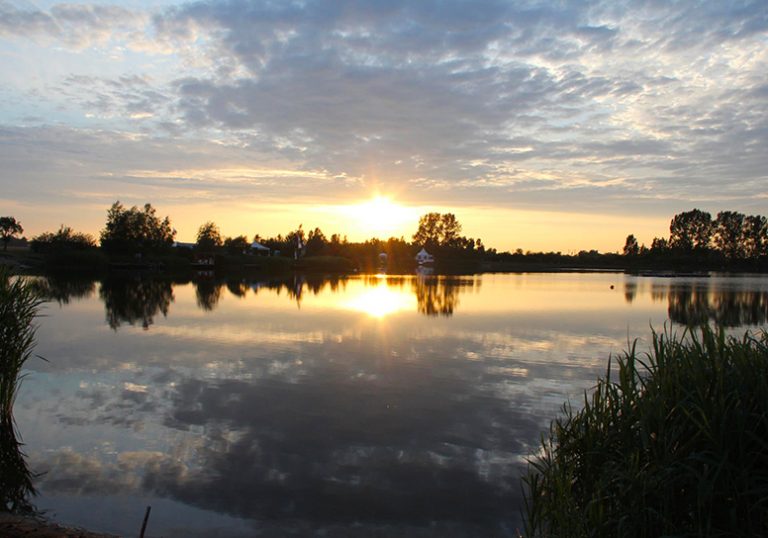 Images Forellensee Weddendorf 01 768x538