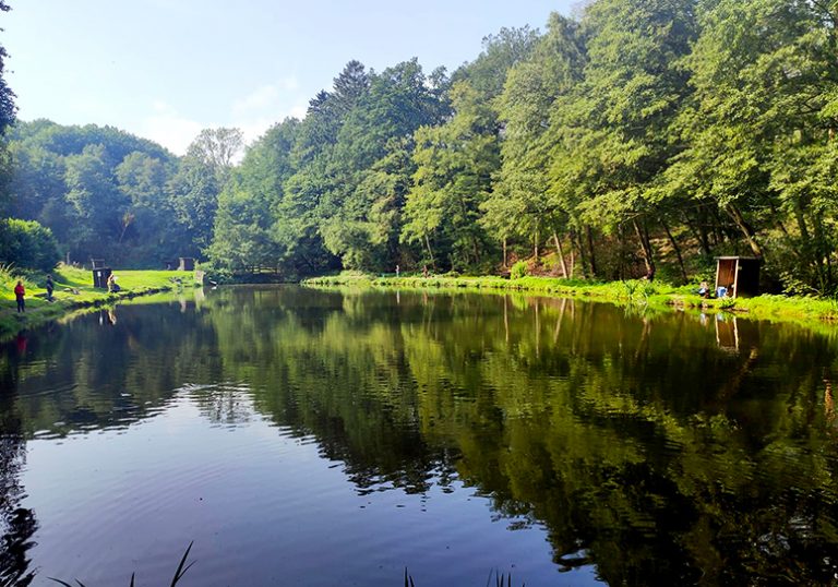 Images Angelparadies Papenberg 01 768x538