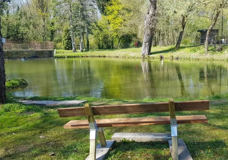 Images Forellenanlage Muenster 01 768x538