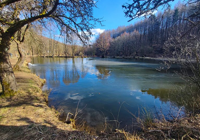 Images Forellengrund Wieda 01 768x538