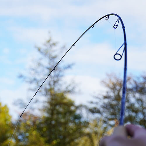 Neu Trout Master