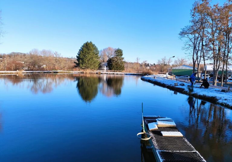 Images Fischerei am Alten Saaleufer GbR 01 768x538