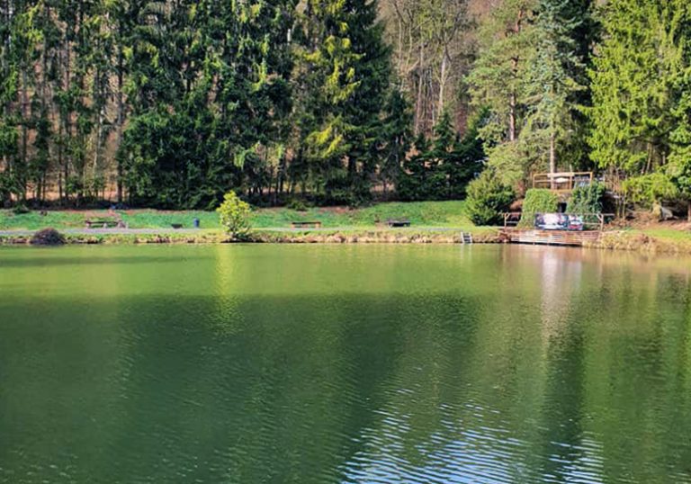 Images Taunus Angelpark 01 768x538