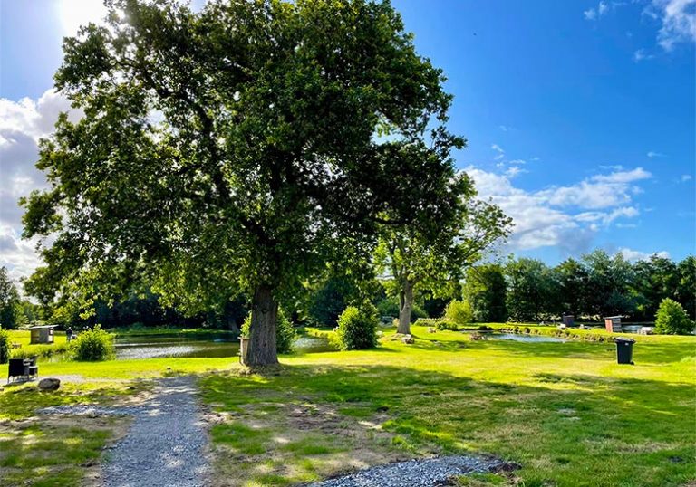 Images Angelpark Altenwalde 01 768x538