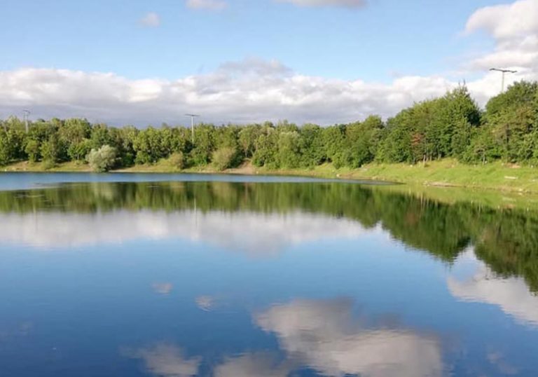 Images Angelsee Oker 01 768x538