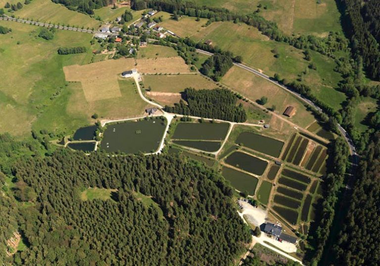 Images Forellenhof Trauntal 01 1 768x538