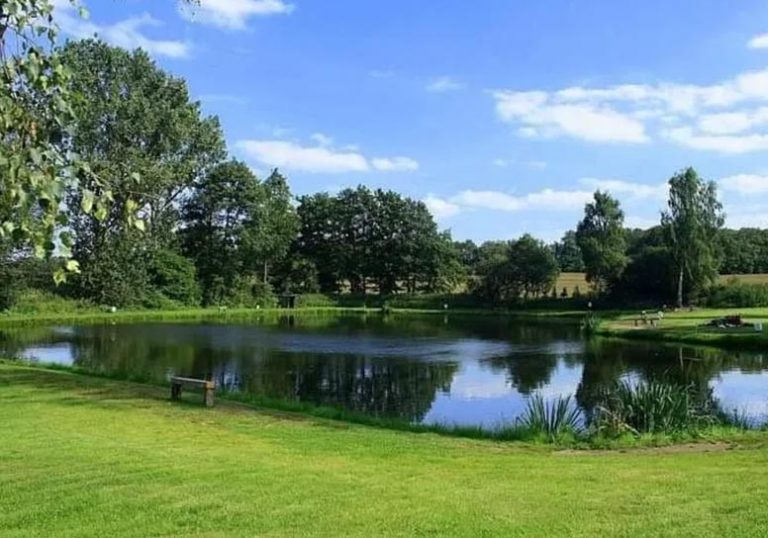 Images Angelpark Steinfeld Teich 3 768x538