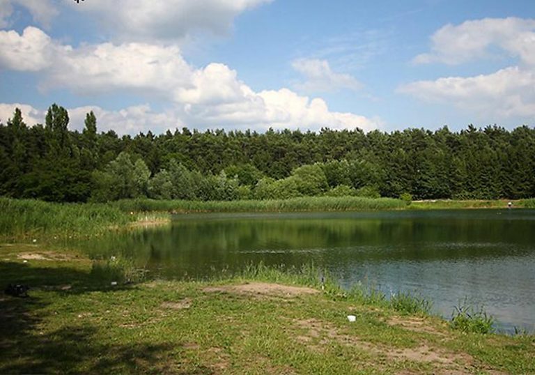 Images Angelpark Thoense 06 768x538