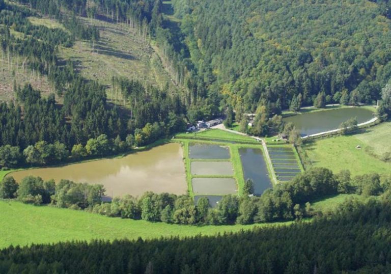 Images Angelpark Wagner 01 768x538