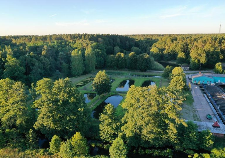 Images Fischzucht Zippelsfoerde 01 768x538