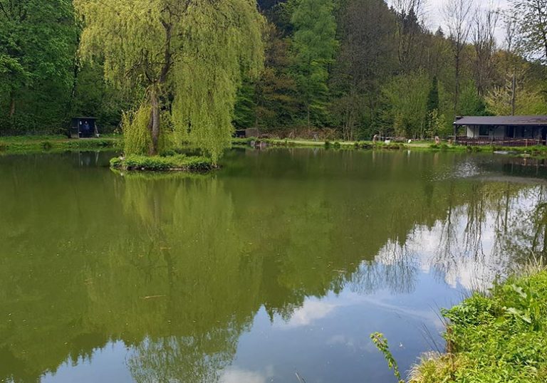 Images Forellenhof Muehlenweiher 1 768x538