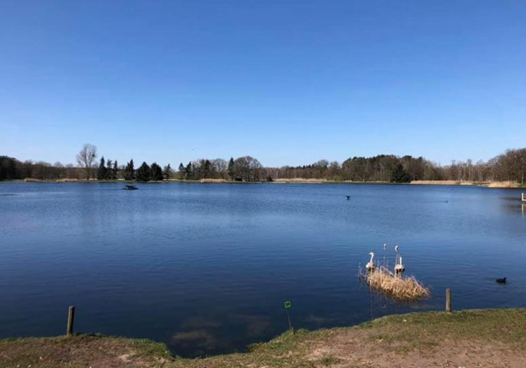 Images Forellensee Osloss 01 768x538