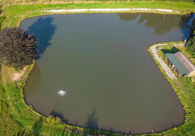 Images Patricks Angelteiche 01 768x538