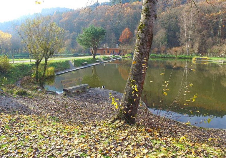 Images Teichanlage Finkenbachtal 01 768x538