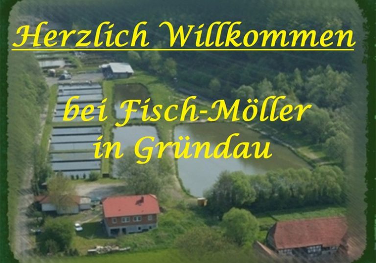 Images Gruendautal Forellen 01 768x538