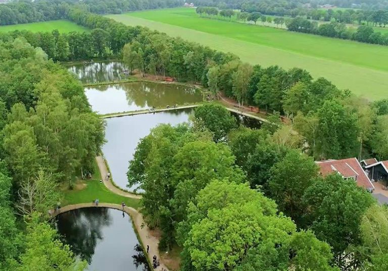 Images Wild 01 768x538