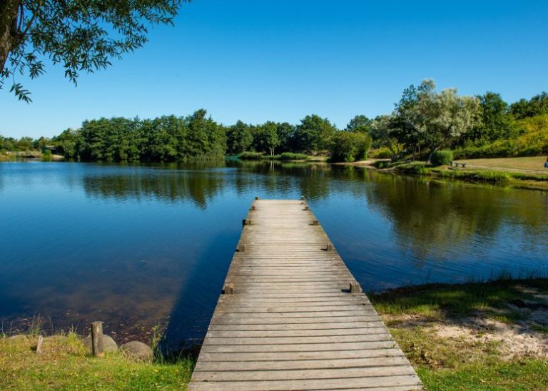 Storkesoen Ribe 2 768x548