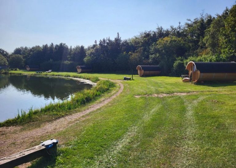 Arrild Fiskeso 1 768x548