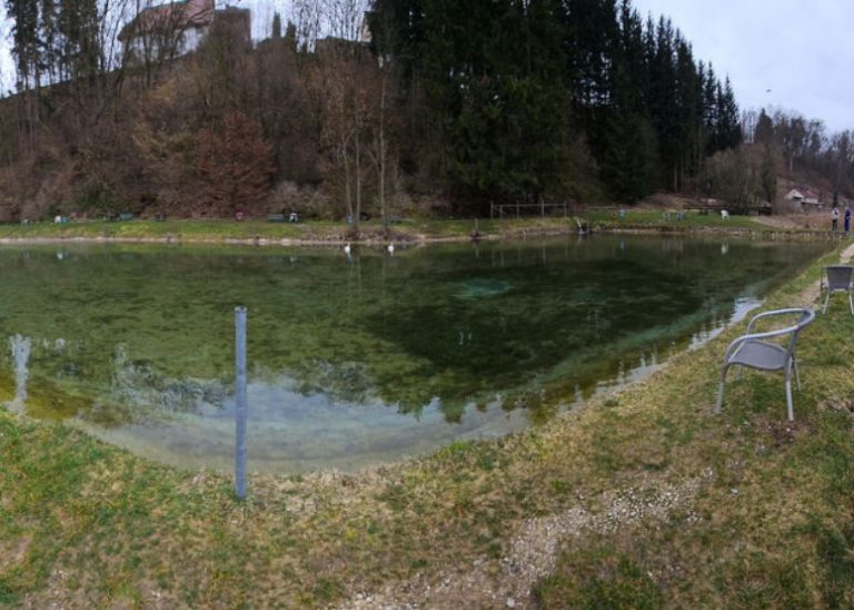 Design ohne Titel 60 768x548