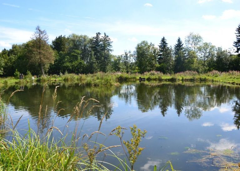 Fischgut Waldheim 1 768x548