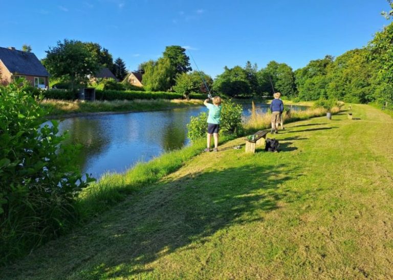 Foldingbro 2 768x548