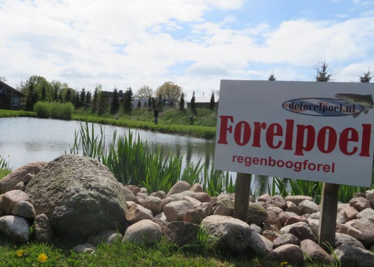 Forelpoel 1 1 768x548