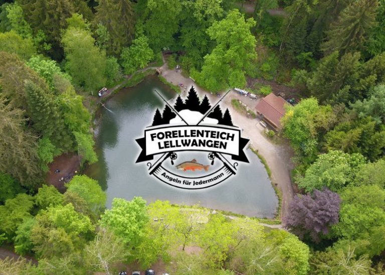 Design ohne Titel 81 768x548