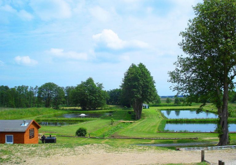 Forellensee Hohendorfer Angelteiche 06 768x538