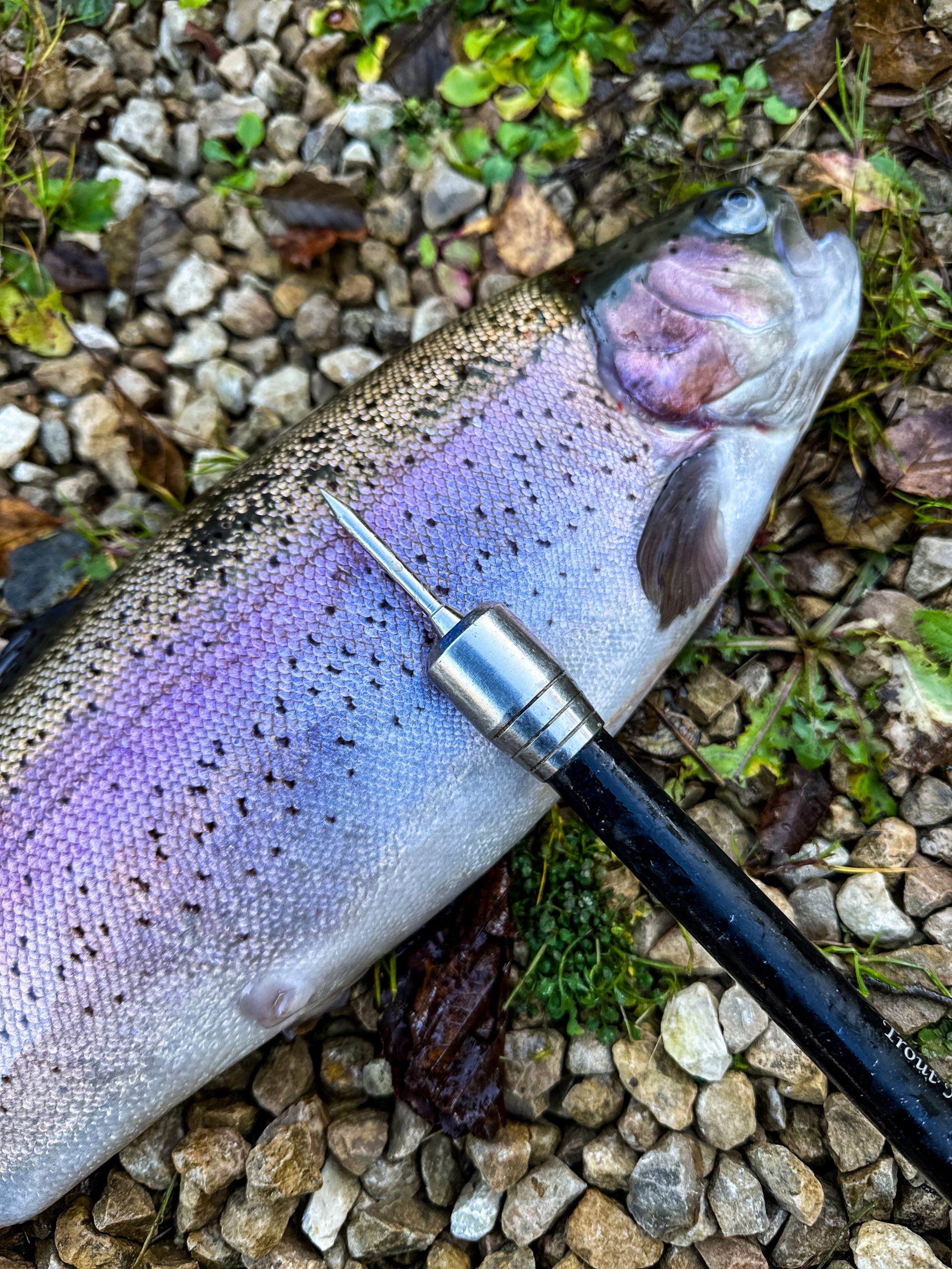3 in 1 HD Priest - Produkte - Trout Master